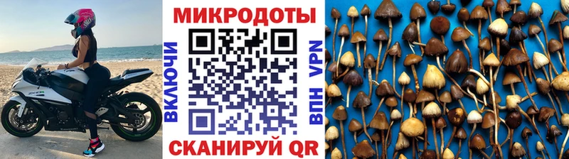 Псилоцибиновые грибы GOLDEN TEACHER  дарк нет формула  Лагань 